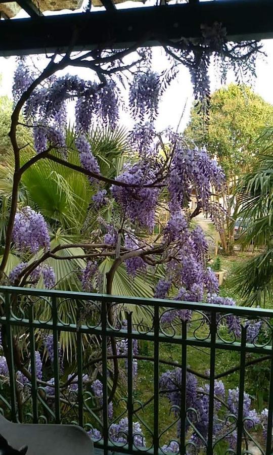 La Maison Botanique Castillon-la-Bataille Zewnętrze zdjęcie